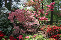 fragrant abundance