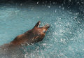 catching raindrops