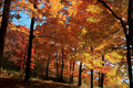 Falling for Vermont