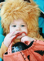 Cuddly Cub