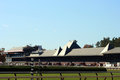 No races today