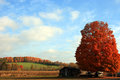 Upstate NY