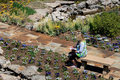 Planning Her Garden