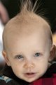 Baby Mohawk