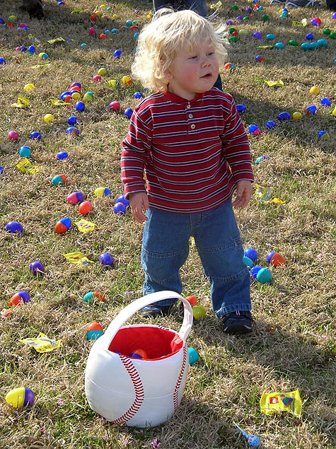 so many eggs