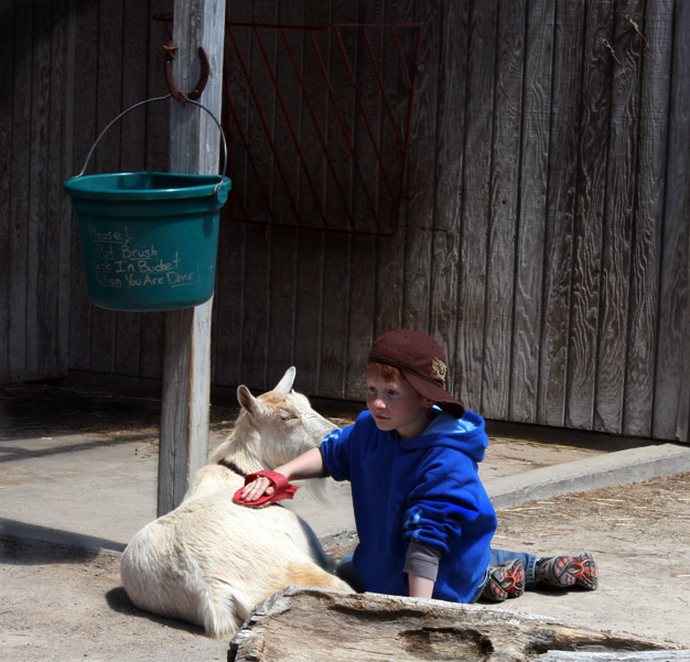 goat boy