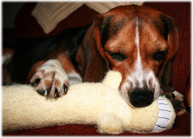 Sleepy