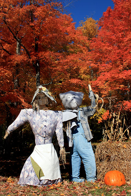 Vermont greetings
