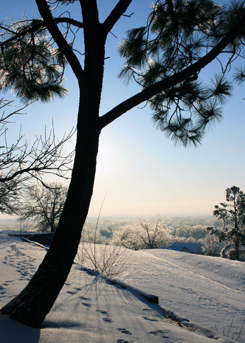 Icy Oklahoma