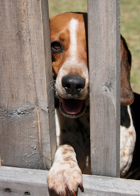 Come Play With Me