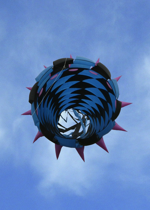 Flying High