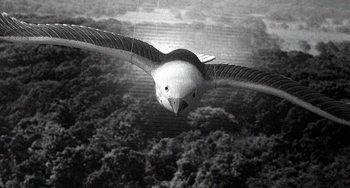 Incoming!