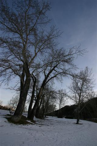Dec 10 043 (Small).jpg