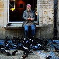 Dove charmer
