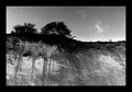 Stranden II