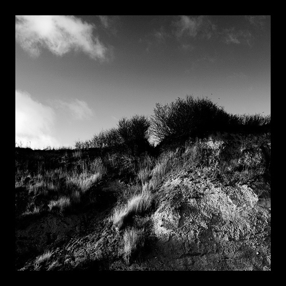 Stranden