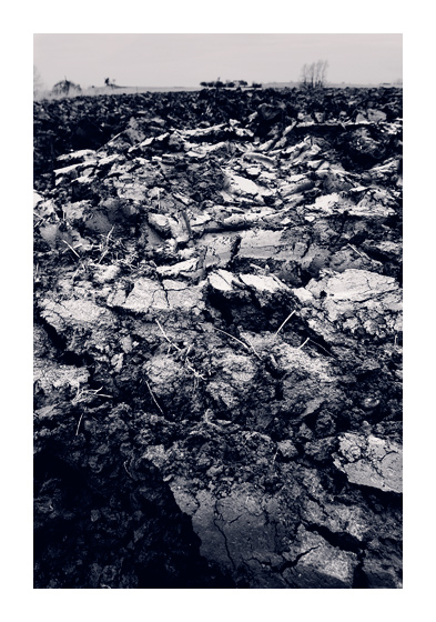 Dirt
