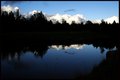 Evening at the Pond