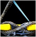 Tying the Knot