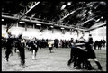 Moment of Glory II