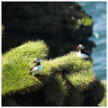 Westman Islands IV
