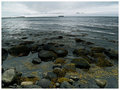 Lundey (Puffin Island)