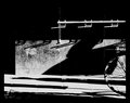 Shadows