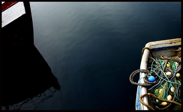 The Harbour II