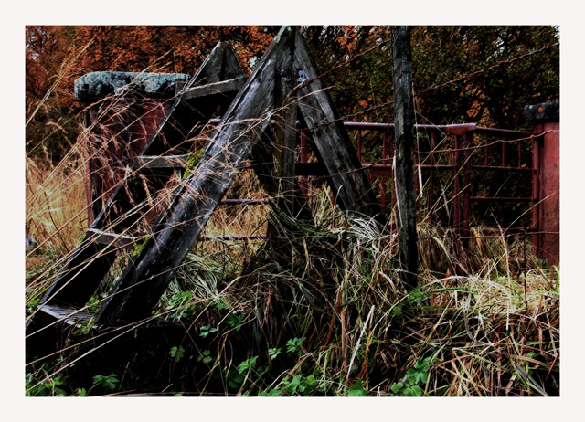 Autumn Charm I