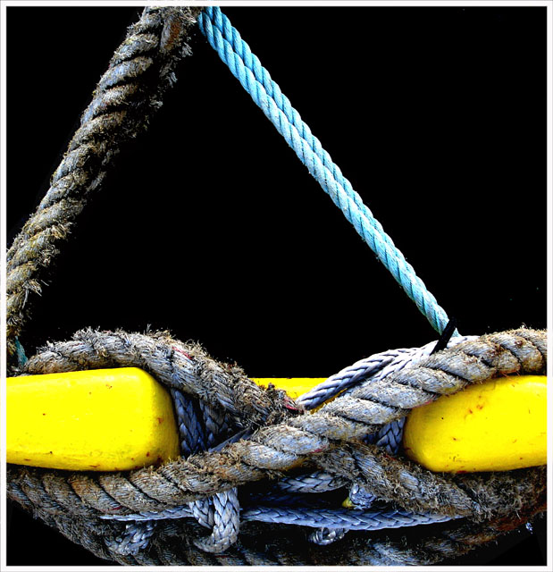 Tying the Knot