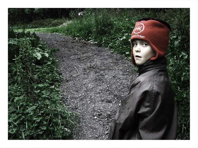 Path Of Life