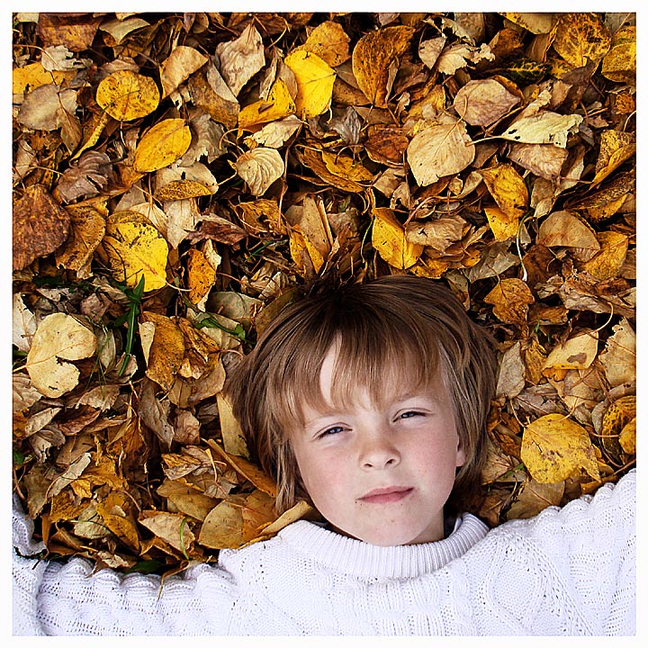 Watching Clouds From Bed Of Leaves