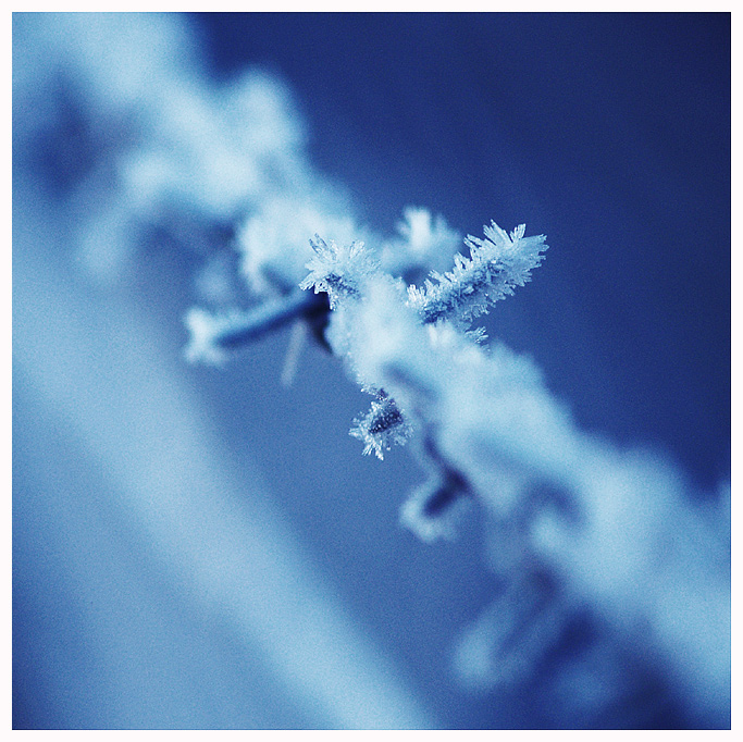 Blue Wire - Outtake