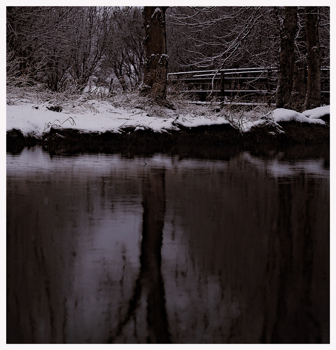 By The Pond