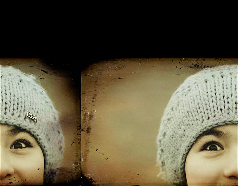 Double Fantasy