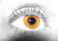 colleens eye sm.jpg