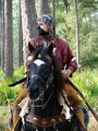 seminole and horse