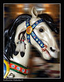 Carousel