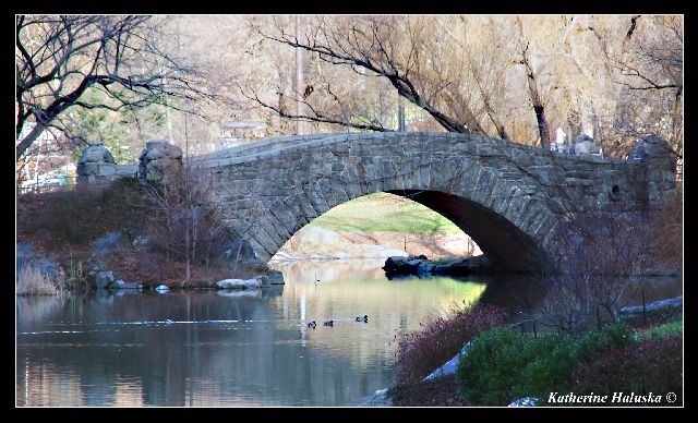 bridge in central park