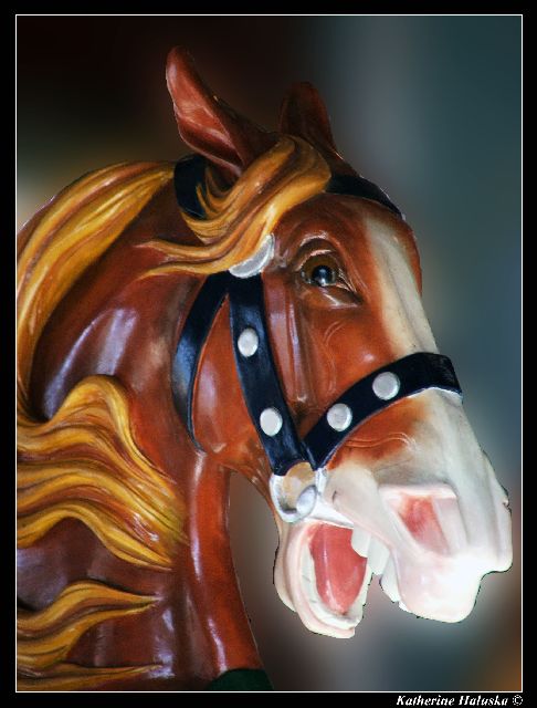 carousel horse