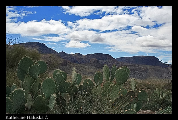 Apache Trail2