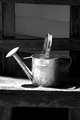 Vintage Watering Can