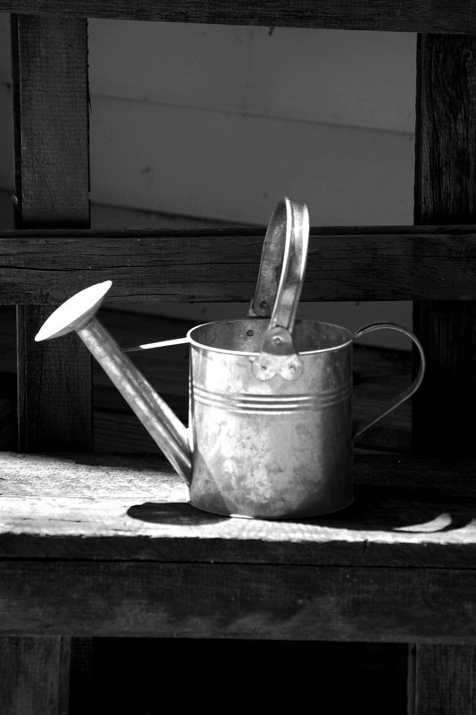 Vintage Watering Can