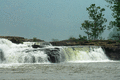 DSC_0079.gif