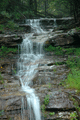 DSC_0108.gif