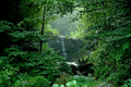 DSC_0112.gif