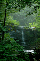 DSC_0114.gif
