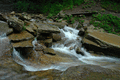 DSC_0053.gif