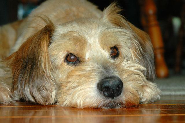 Max