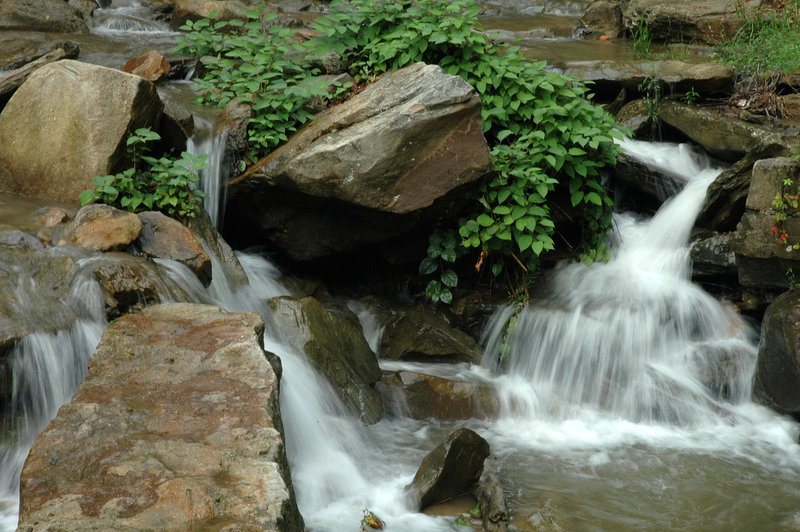 DSC_0024.JPG